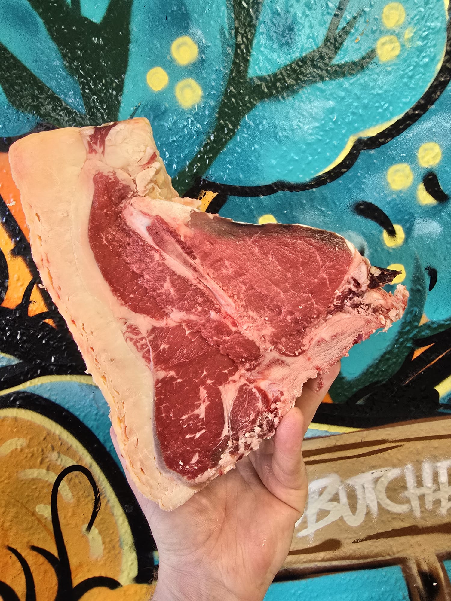 Dry Aged Beef T-Bone steak